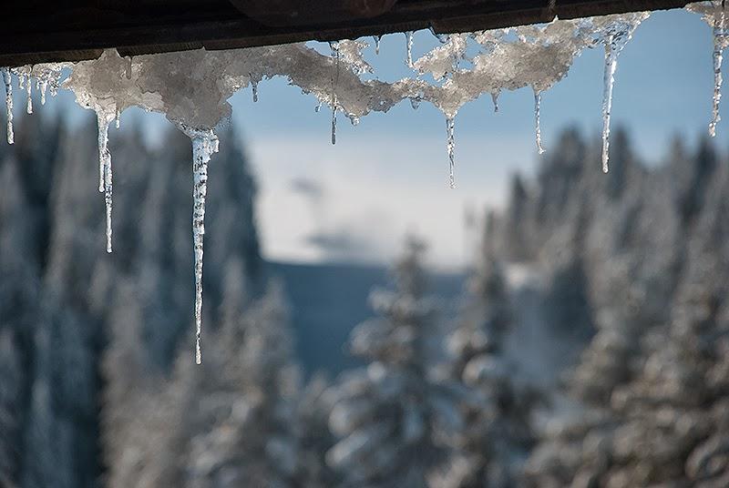 Apartment Suncani Vrhovi Kopaonik Eksteriør bilde